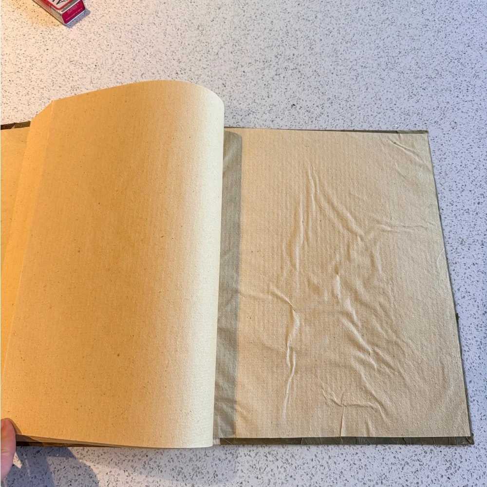 Vintage PALM Tree Keepsake Album Souvenier Hawaii Made with Leaves & Bark - Picture 3 of 6